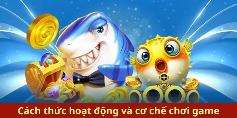 Cách Chơi Bắn Cá Royal Fishing Tại ABC8 Hiệu Quả Nhất 2 Cách Chơi Bắn Cá Royal Fishing Tại ABC8 Hiệu Quả Nhất