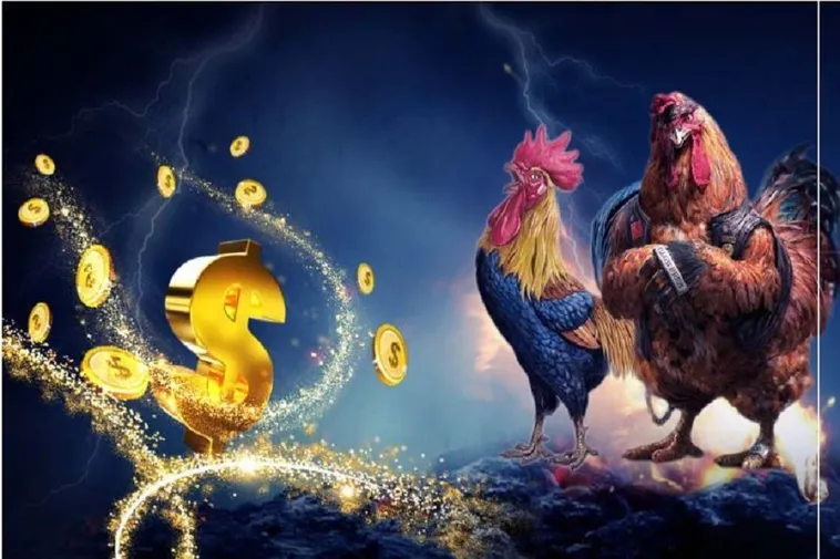 Cách Chơi Đá Gà WS168 Tại ABC8 Hấp Dẫn Nhất 2025