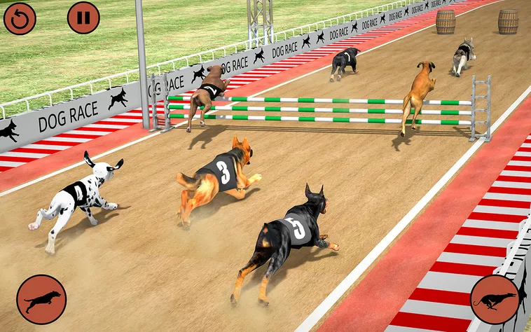 Cách Chơi Game Nhanh Đua Chó Tại ABC8 Thắng Lớn Nhanh Chóng 2 Cách Chơi Game Nhanh Đua Chó Tại ABC8 Thắng Lớn Nhanh Chóng