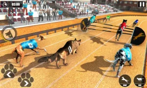 Cách Chơi Game Nhanh Đua Chó Tại ABC8 Thắng Lớn Nhanh Chóng